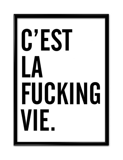 Cest La Fucking Vie