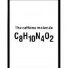 The Caffeine Molecule